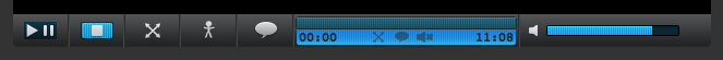 Screen shot of the video player in HTML form Shows the video player in HTML form